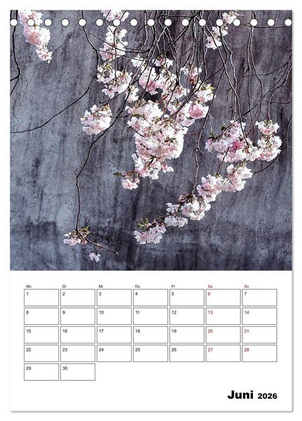 Produktbild: Mauerbl&uuml;mchen - Poesie im Allt&auml;glichen als Monatsplaner (Tischkalender 2026 DIN A5 hoch), CALVENDO Monatskalender