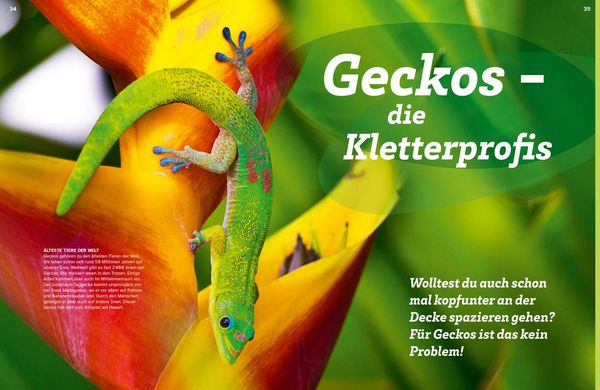Produktbild: WAS IST WAS Echsen. Kleine Drachen hautnah