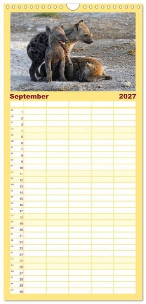 Produktbild: Familienplaner 2027 - Wildes Kinderzimmer - Tierkinder in Afrika mit 5 Spalten (Wandkalender, 21 x 45 cm) CALVENDO