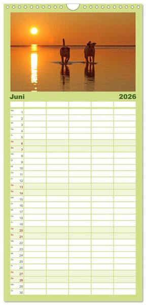 Produktbild: Familienplaner 2026 - Die Parson-Russell-Terrier ...mit neuen Abenteuern aus der Hundeknipserei mit 5 Spalten (Wandkalender, 21 x 45 cm) CALVENDO