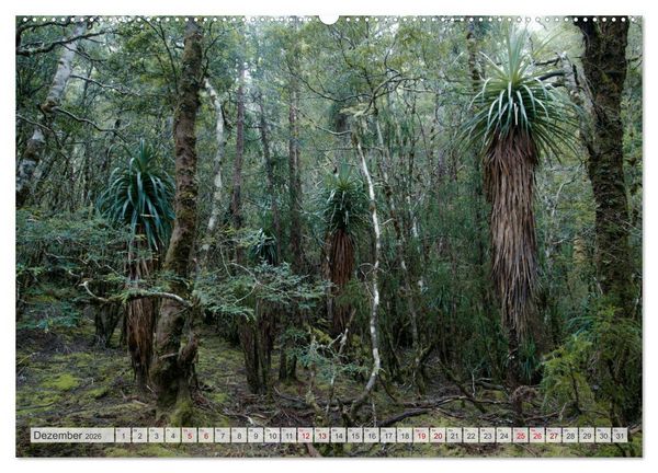Produktbild: W&auml;lder der Welt (hochwertiger Premium Wandkalender 2026 DIN A2 quer), Kunstdruck in Hochglanz