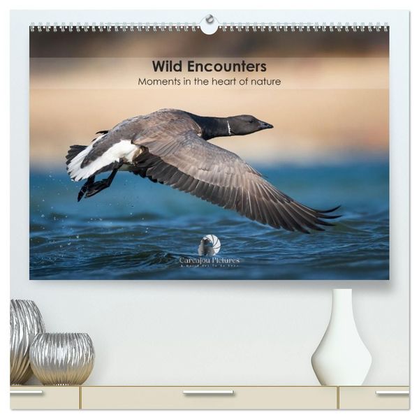 Produktbild: Wild encounters &ndash; Moments in the heart of nature (High Quality Premium Wall Calendar 2027 DIN A2 landscape),CALVENDO 12 Month Wall Calendar