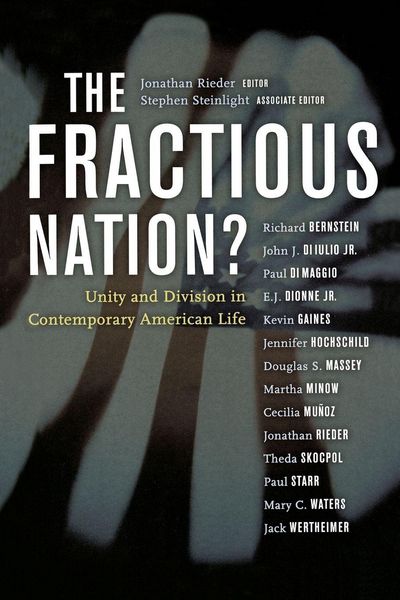 Produktbild: The Fractious Nation?