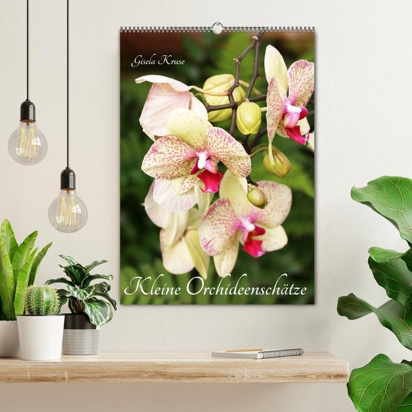 Produktbild: Kleine Orchideensch&auml;tze (Wandkalender 2026 DIN A2 hoch), CALVENDO Monatskalender