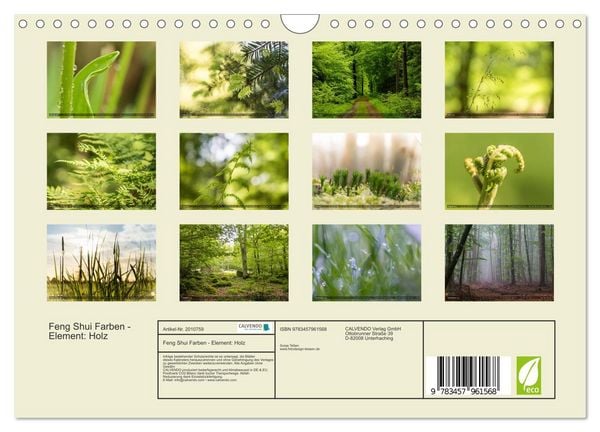 Produktbild: Feng Shui Farben - Element: Holz (Wandkalender 2026 DIN A4 quer), CALVENDO Monatskalender
