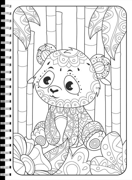 Produktbild: Mein Mandala Malbuch