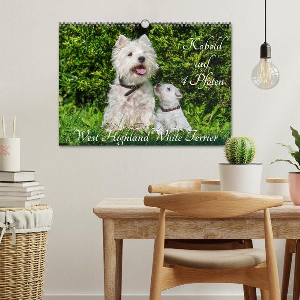 Produktbild: Kobold auf 4 Pfoten - West Highland White Terrier (Wandkalender 2026 DIN A3 quer), CALVENDO Monatskalender
