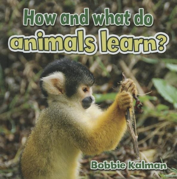 Produktbild: How and What Do Animals Learn?