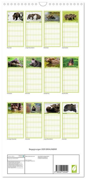 Produktbild: Familienplaner 2026 - Begegnungen DER BRAUNB&Auml;R mit 5 Spalten (Wandkalender, 21 x 45 cm) CALVENDO