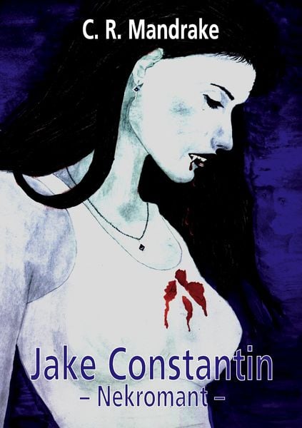 Jake Constantin, Taschenbuch von C. R. Mandrake, Renaissance Verlag Wetzlar, 9783939442561