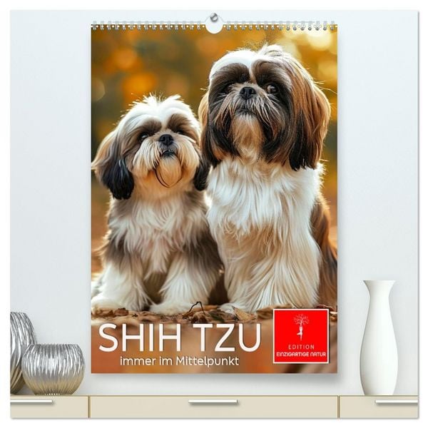 Produktbild: Shih Tzu - immer im Mittelpunkt (hochwertiger Premium Wandkalender 2026 DIN A2 hoch), Kunstdruck in Hochglanz
