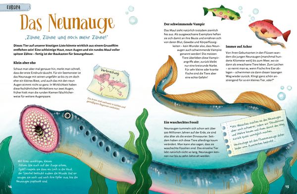 Produktbild: Mein Bestiarium der au&szlig;ergew&ouml;hnlichsten Tiere