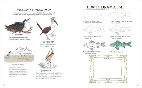 Produktbild: Julia Rothman's Ocean Anatomy Activity Book