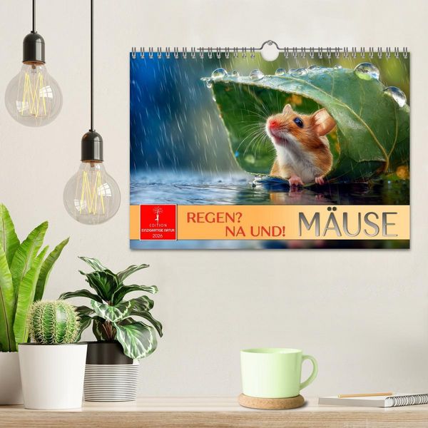 Produktbild: Regen? Na und! M&auml;use (Wandkalender 2026 DIN A4 quer), CALVENDO Monatskalender