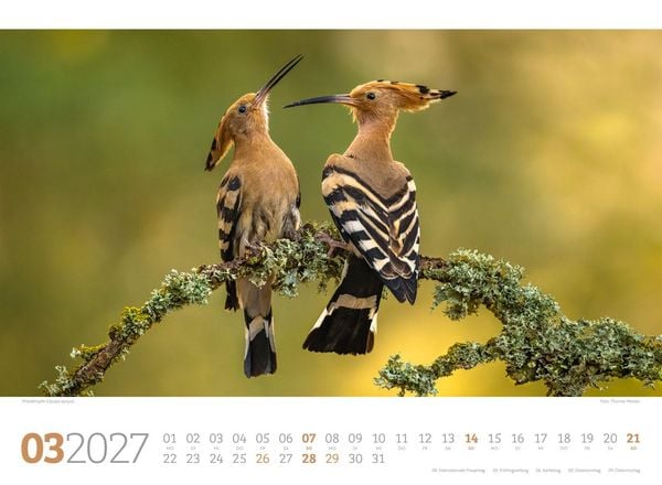 Produktbild: Tierwelt Wald Kalender 2027