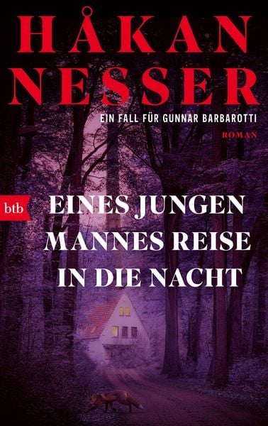 Produktbild: Eines jungen Mannes Reise in die Nacht
