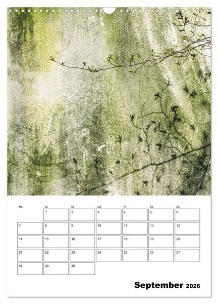 Produktbild: Mauerbl&uuml;mchen - Poesie im Allt&auml;glichen als Monatsplaner (Wandkalender 2026 DIN A3 hoch), CALVENDO Monatskalender