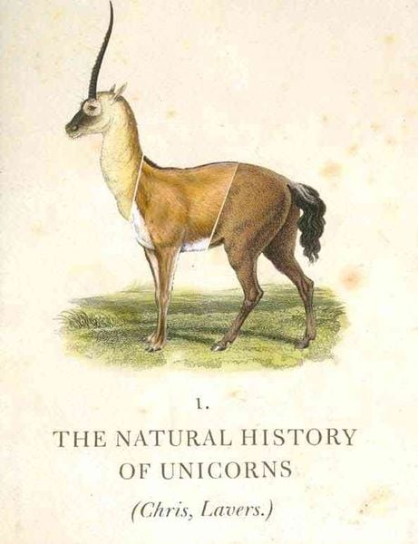 Produktbild: Natural History of Unicorns