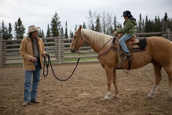 Produktbild: Heartland - Paradies f&uuml;r Pferde - Staffel 13 (Neuauflage) [4 DVDs]