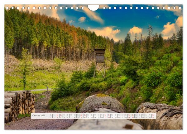 Produktbild: Die Vielfalt des Th&uuml;ringer Waldes (Wandkalender 2026 DIN A4 quer), CALVENDO Monatskalender