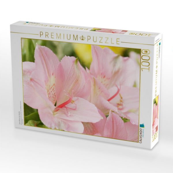 Produktbild: CALVENDO Puzzle Zarte Bl&uuml;ten der Inkalilie | 1000 Teile Lege-Gr&ouml;&szlig;e 64x48cm Foto-Puzzle f&uuml;r gl&uuml;ckliche Stunden