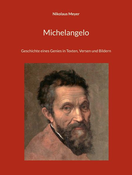 Produktbild: Michelangelo