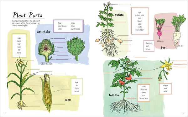 Produktbild: Julia Rothman's Farm Anatomy Activity Book