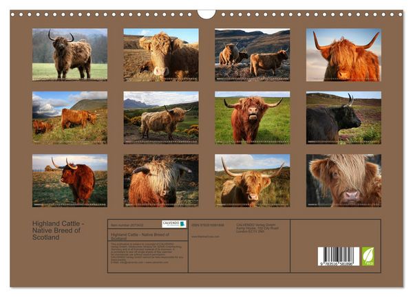 Produktbild: Highland Cattle - Native Breed of Scotland (Wall Calendar 2026 DIN A3 landscape), CALVENDO 12 Month Wall Calendar