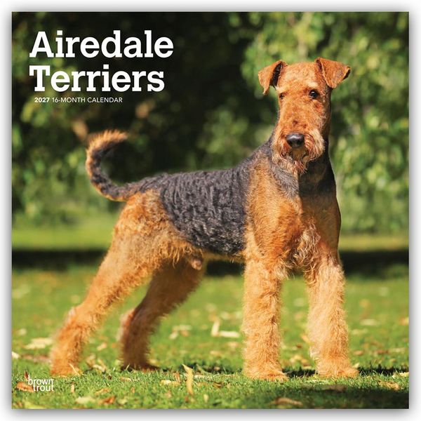 Produktbild: Airedale Terrier 2027 &ndash; 16-Monatskalender