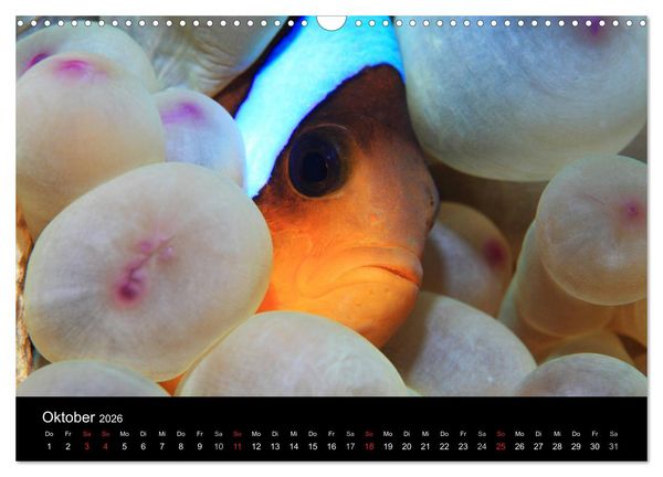 Produktbild: Bilder der Tiefe 2026 (Wandkalender 2026 DIN A3 quer), CALVENDO Monatskalender