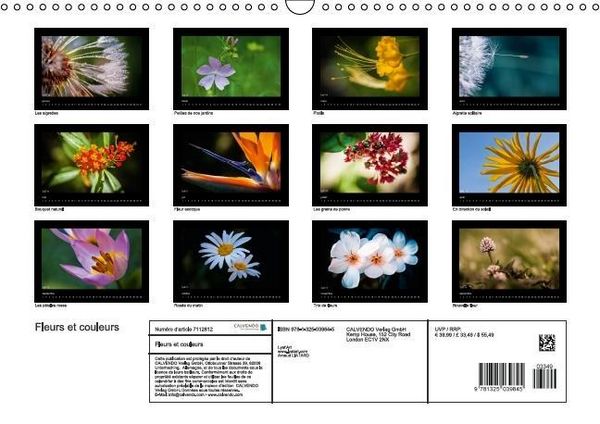 Produktbild: Liatard, A: Fleurs et couleurs (Calendrier mural Calendrier