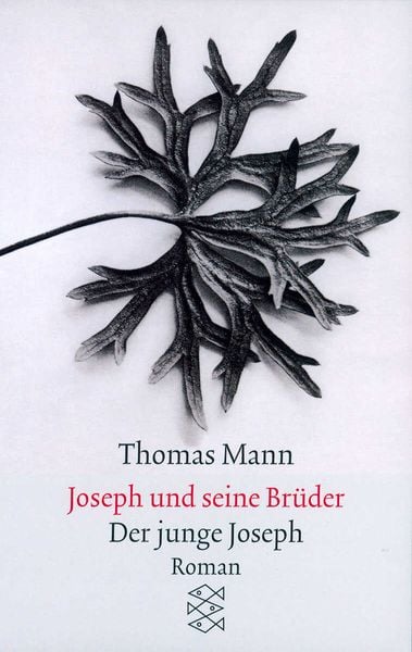 Produktbild: Joseph und seine Br&uuml;der II. Der junge Joseph