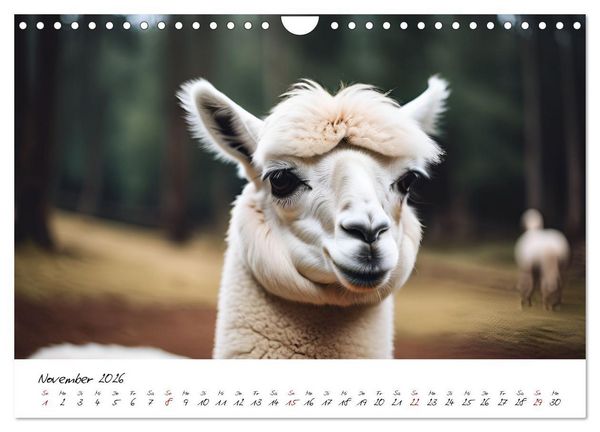 Produktbild: Alpakas, die sanften Andenbewohner (Wandkalender 2026 DIN A4 quer), CALVENDO Monatskalender