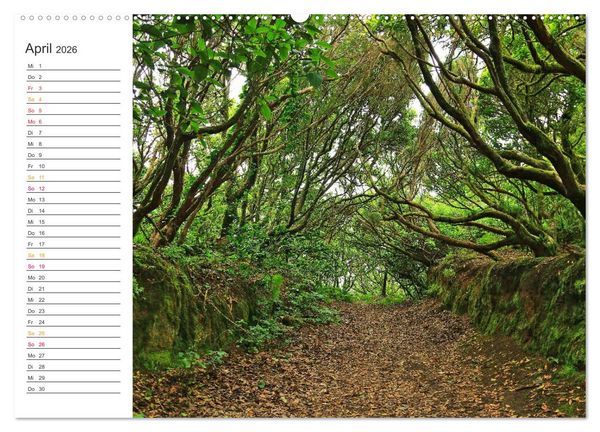 Produktbild: Der Norden von Teneriffa (Wandkalender 2026 DIN A2 quer), CALVENDO Monatskalender