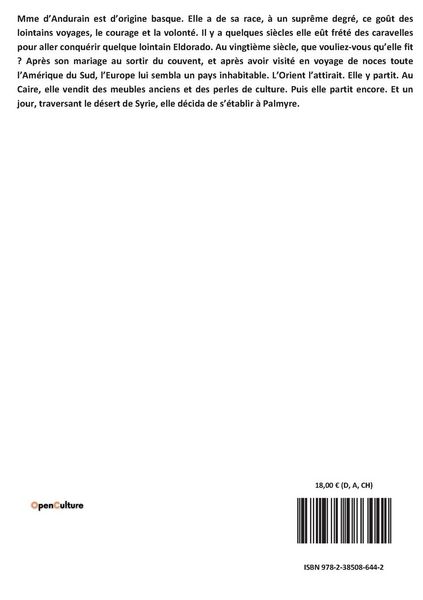 Produktbild: Sous le voile de l'Islam