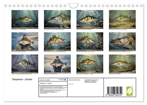 Produktbild: Talsperren - Zander (Wandkalender 2027 DIN A4 quer), CALVENDO Monatskalender