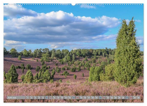 Produktbild: L&uuml;neburger Heide - Faszinierend sch&ouml;n (hochwertiger Premium Wandkalender 2026 DIN A2 quer), Kunstdruck in Hochglanz
