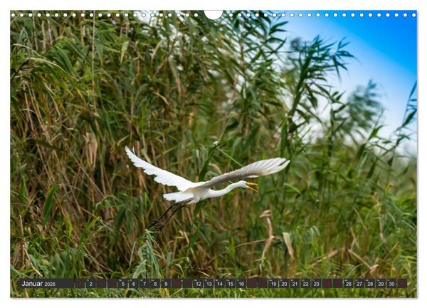 Produktbild: Das Paradies Donaudelta (Wandkalender 2026 DIN A3 quer), CALVENDO Monatskalender