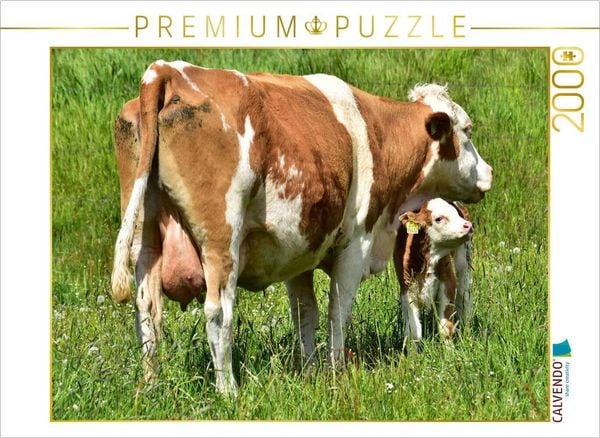 CALVENDO Puzzle Junge Kälber weichen nur sehr selten von der Seite ihrer Mutter. | 2000 Teile Lege-Größe 90x67cm Foto-Puzzle für glückliche Stunden