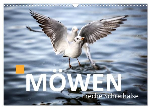 MÖWEN Freche Schreihälse (Wandkalender 2025 DIN A3 quer), CALVENDO Monatskalender