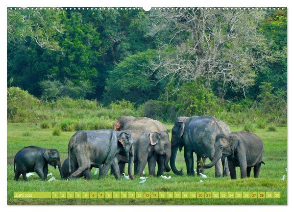 Produktbild: Sri Lanka, Gr&uuml;ne Berge - unber&uuml;hrte Natur (hochwertiger Premium Wandkalender 2026 DIN A2 quer), Kunstdruck in Hochglanz