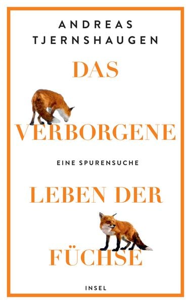 Das verborgene Leben der Füchse, Gebundene Ausgabe von Andreas Tjernshaugen, Insel, 978-3-458-64371-5