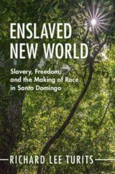 Produktbild: Enslaved New World