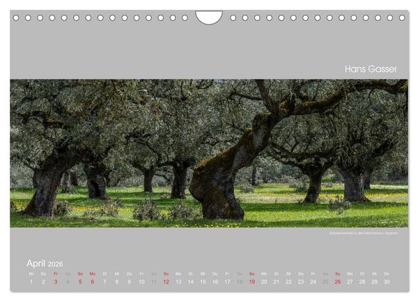 Produktbild: GROSSARTIGE LANDSCHAFTEN 2026 (Wandkalender 2026 DIN A4 quer), CALVENDO Monatskalender