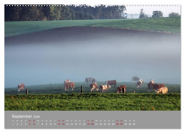Produktbild: Hallertau (hochwertiger Premium Wandkalender 2026 DIN A2 quer), Kunstdruck in Hochglanz