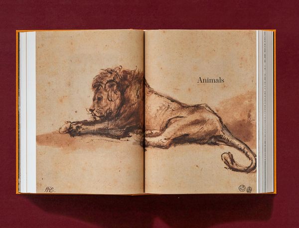 Produktbild: Rembrandt. S&auml;mtliche Zeichnungen und Radierungen