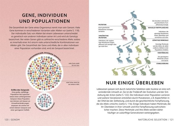 Produktbild: SIMPLY. Naturwissenschaft