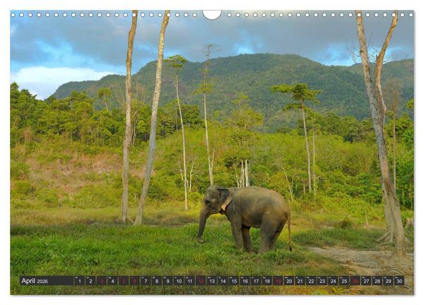 Produktbild: Thailand Journey (Wandkalender 2026 DIN A3 quer), CALVENDO Monatskalender