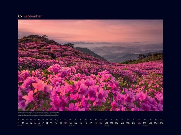 Produktbild: Aufgebl&uuml;ht - KUNTH Wandkalender 2027