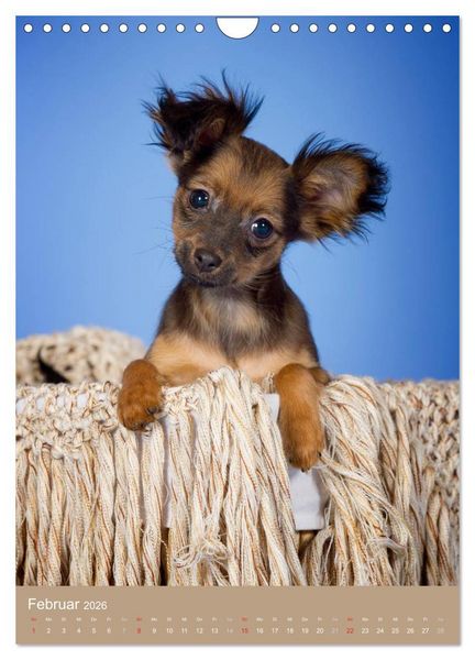 Produktbild: Hundekinder (Wandkalender 2026 DIN A4 hoch), CALVENDO Monatskalender